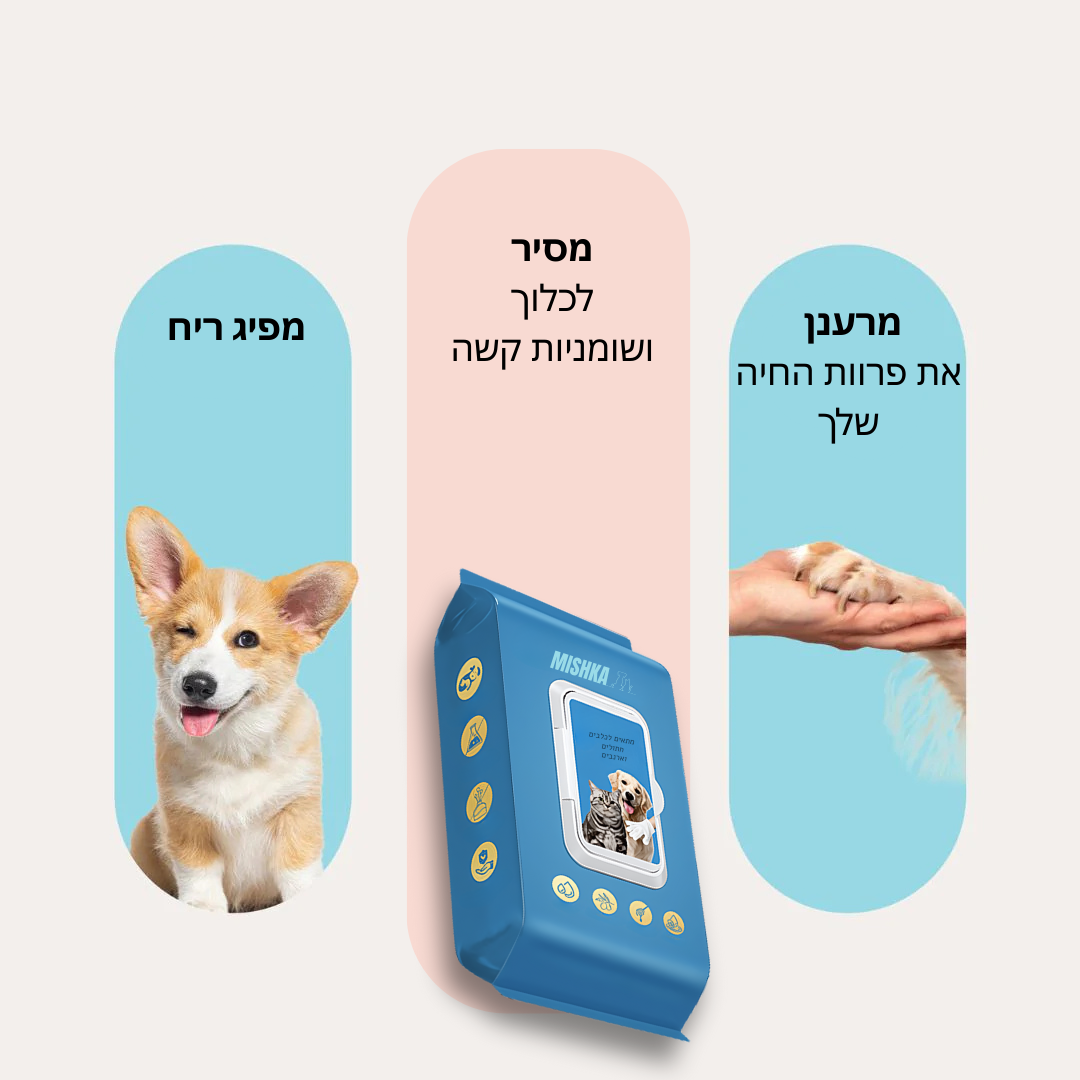 כפפות טיפוח - Mishka Pro