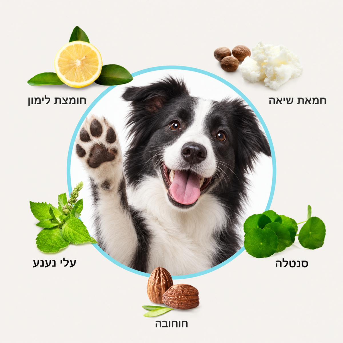 מבוסס על רכיבים בטוחים ובריאים