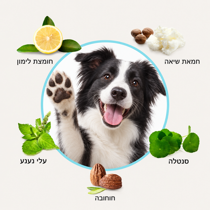 מנקה כפות - Mishka Paw