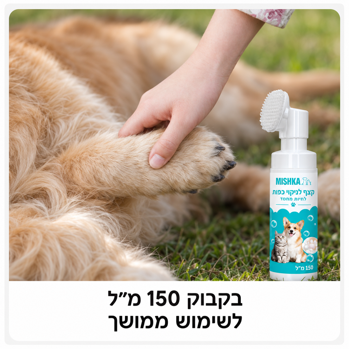מנקה כפות - Mishka Paw