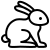 ארנבים